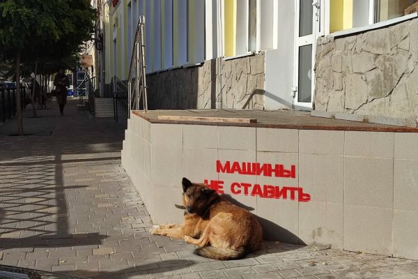 Еще на одной улице в центре Астрахани запретили парковку | АРБУЗ