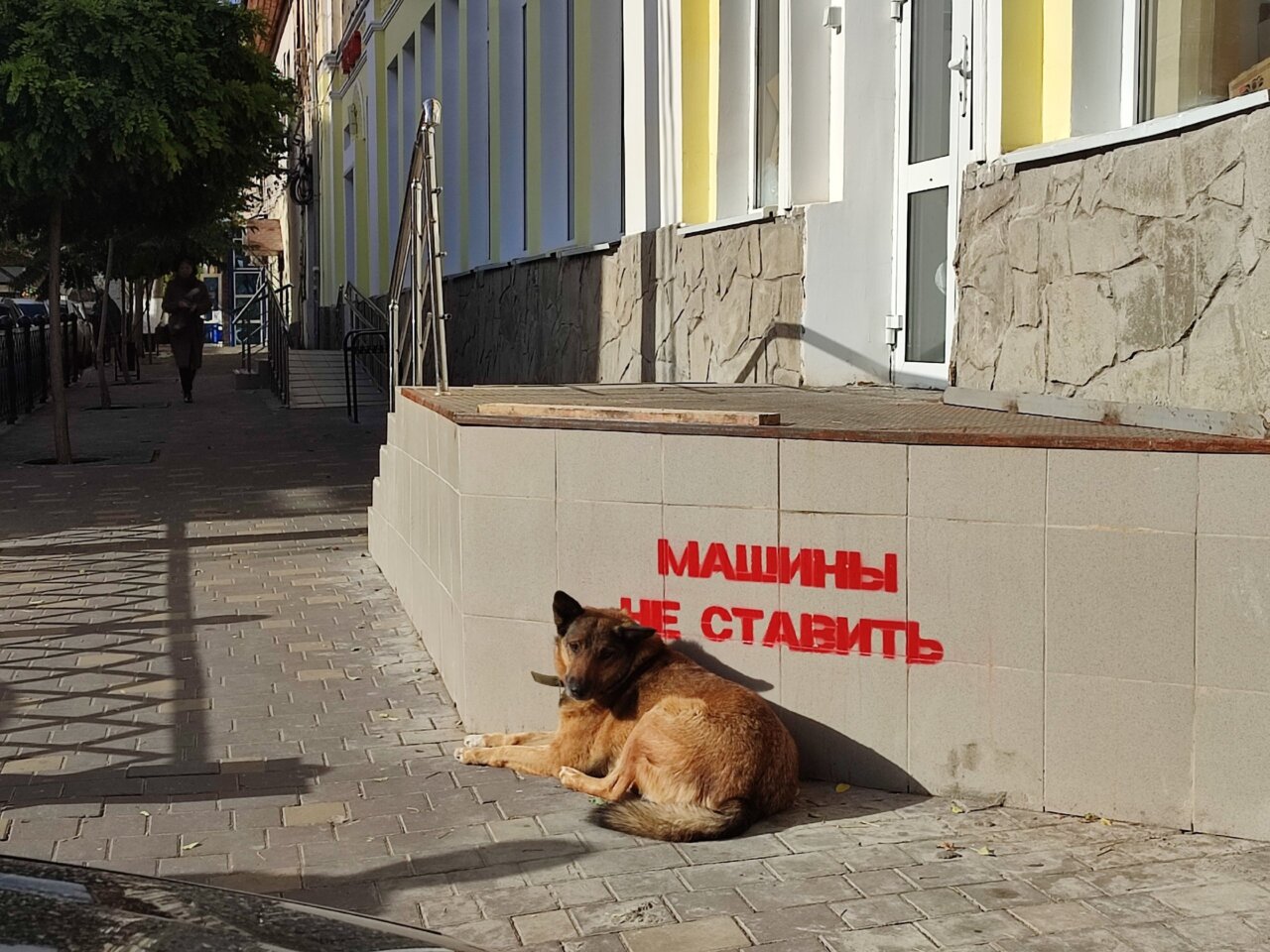 Еще на одной улице в центре Астрахани запретили парковку | АРБУЗ