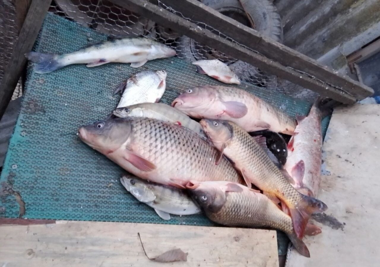 Где и какая рыба ловится в Астраханской области в начале весны | АРБУЗ