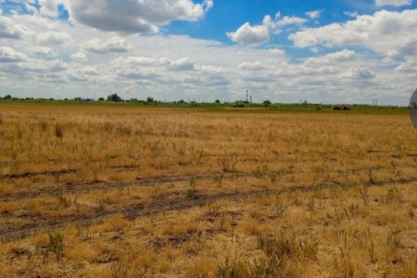 В Астраханской области ищут инвесторов для строительства заводов по переработке мусора | АРБУЗ