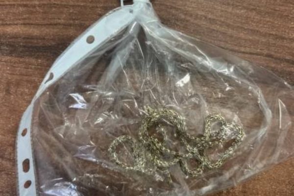 Под Астраханью мужчина сорвал с пенсионера цепочку за сто тысяч, а свой груз бросил ему | АРБУЗ