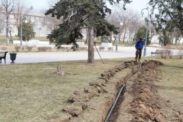 В Астрахани прокладывают поливочную систему и высаживают новые кустарники | АРБУЗ