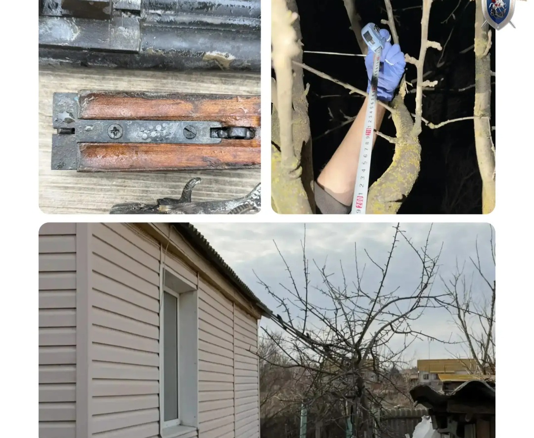 Под Астраханью раскрыли убийство с очень неожиданным мотивом | АРБУЗ