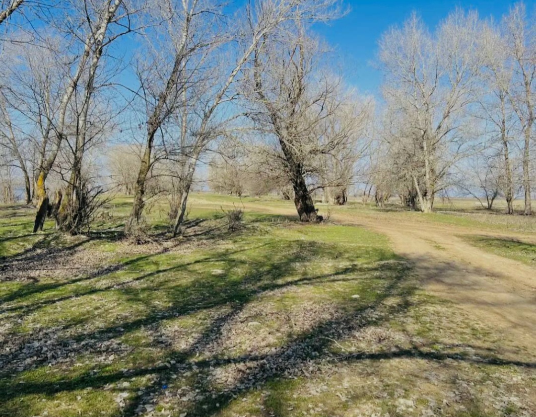 Под Астраханью жителей села лишили дороги, проезд перекрыли даже скорой и пожарной | АРБУЗ
