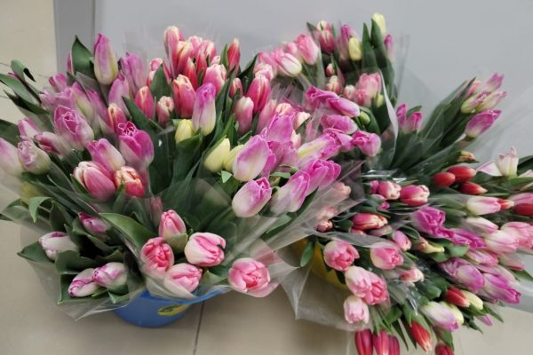 Под Астраханью мужчина украл у знакомой четное число цветов, чтобы порадовать любимую | АРБУЗ