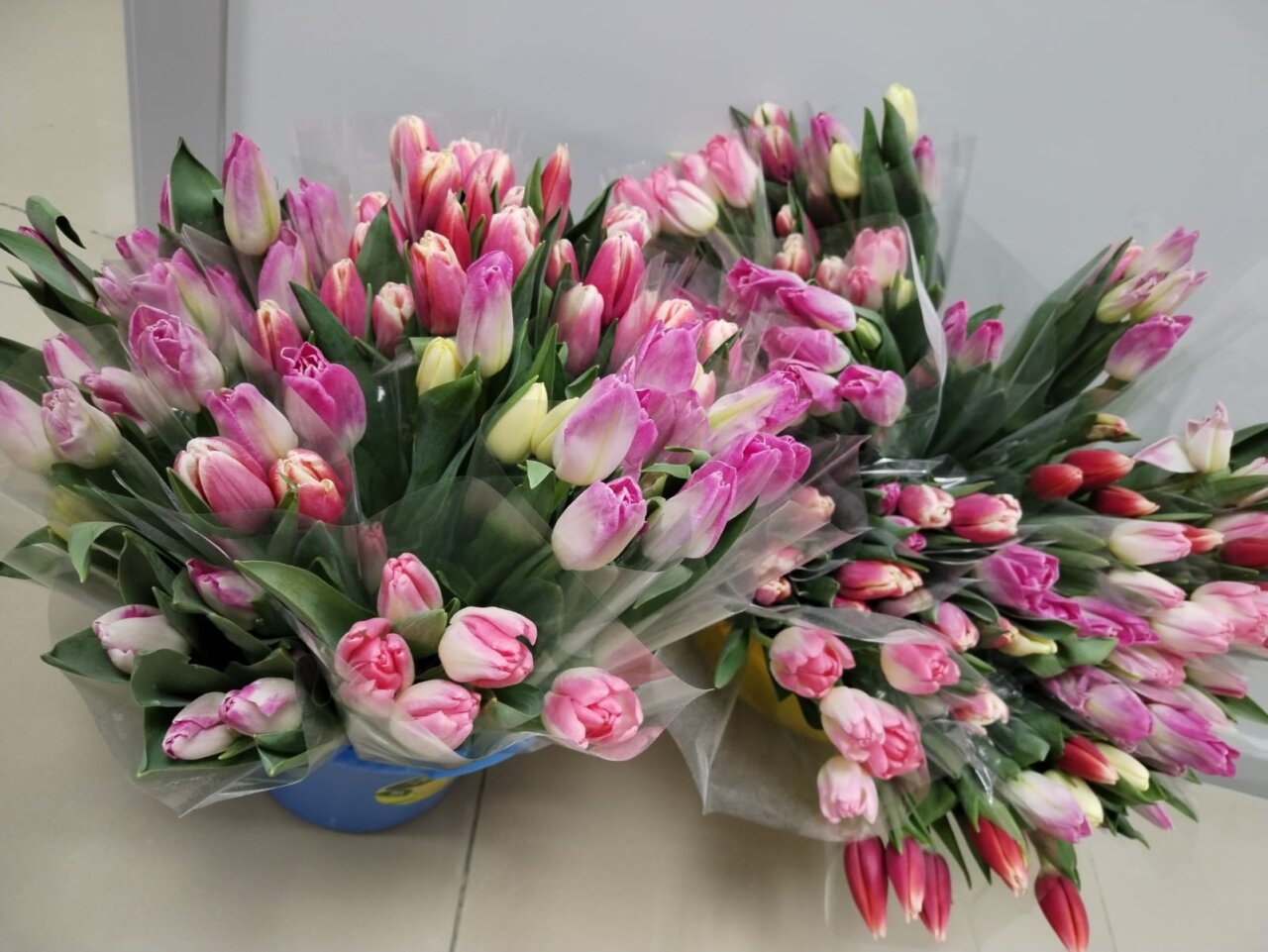 Под Астраханью мужчина украл у знакомой четное число цветов, чтобы порадовать любимую | АРБУЗ