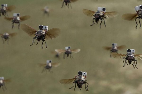 В Германии используют рои жуков-разведчиков для миссий НАТО
