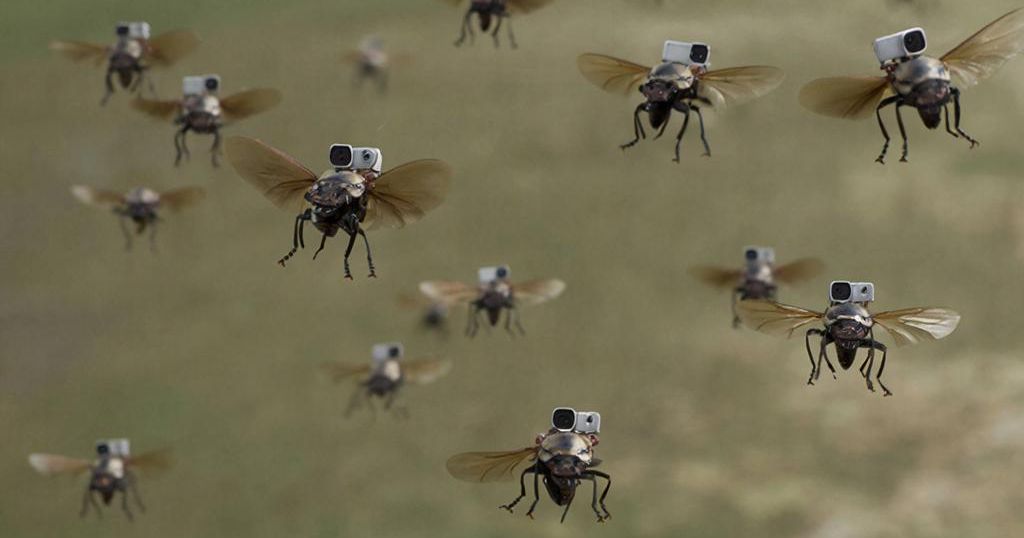 В Германии используют рои жуков-разведчиков для миссий НАТО
