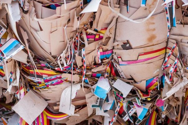 В России запустили межрегиональный конкурс по сбору макулатуры среди школьников и студентов