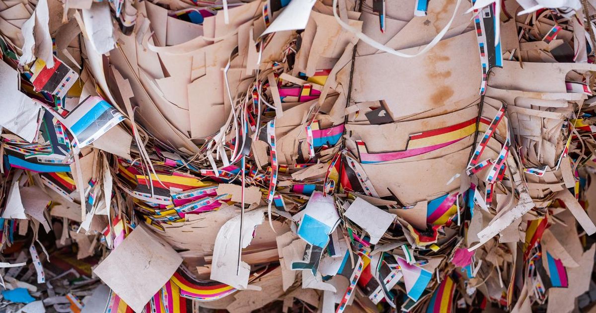 В России запустили межрегиональный конкурс по сбору макулатуры среди школьников и студентов