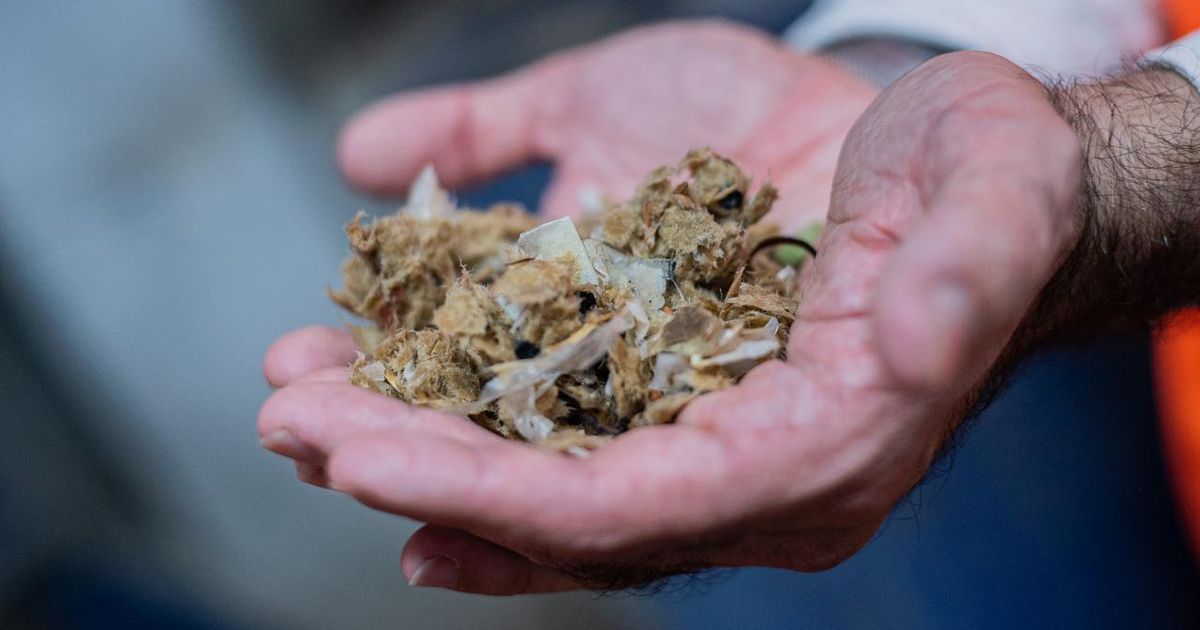 В России нашли способ превращать бумажные отходы в материалы для ликвидации нефтеразливов