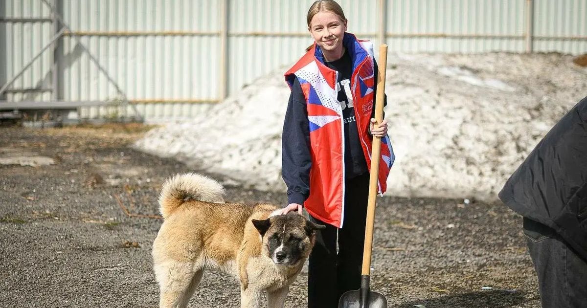В Подмосковье запустили шестой сезон Международной премии #МЫВМЕСТЕ