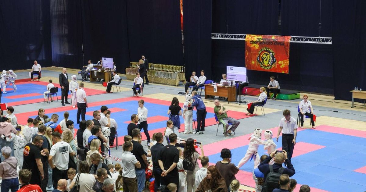 Более 470 спортсменов показали силу и технику на подольском ковре