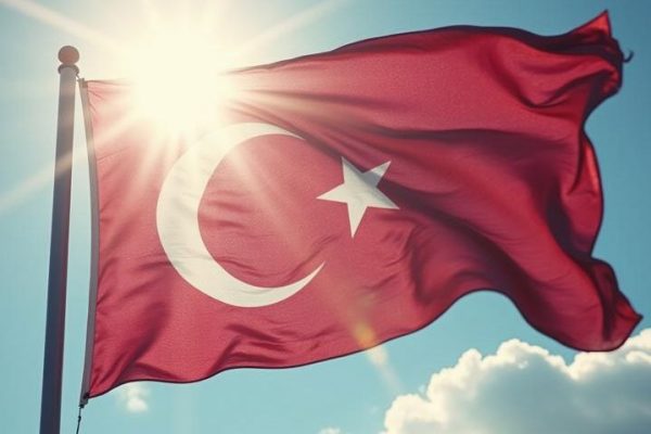 Эксперт заявил о возможном ответе Турции на удары по «Турецкому потоку»