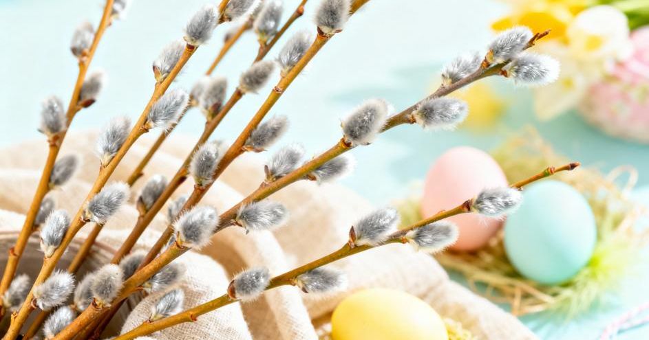 Когда отмечается Вербное воскресенье в 2026 году и как правильно провести этот праздник