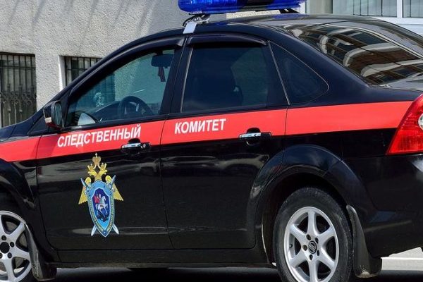 СК проверил семью из Башкирии после слухов о «девочке-маугли»