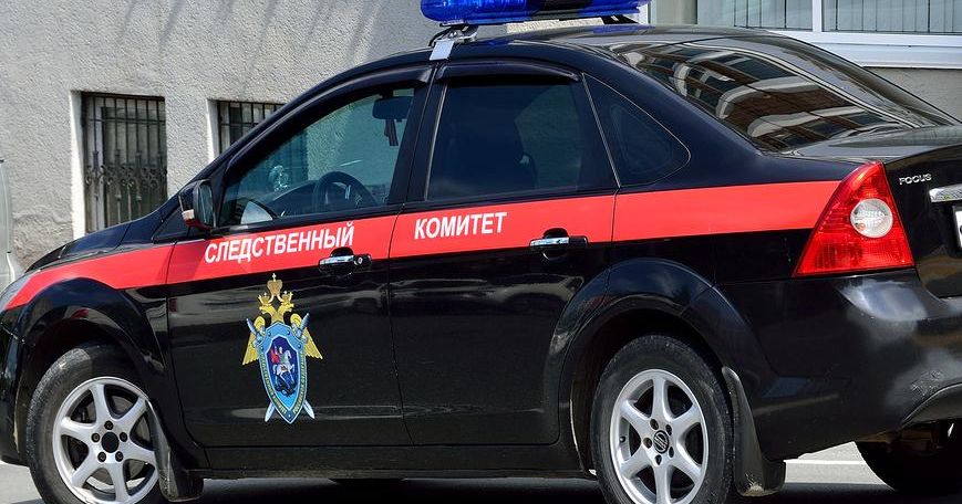 СК проверил семью из Башкирии после слухов о «девочке-маугли»