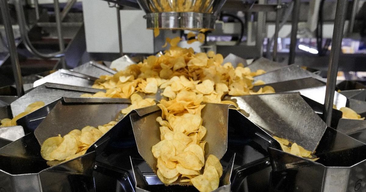 Почти 128 тыс. тонн переработанного картофеля выпустили в Подмосковье в 2025 году