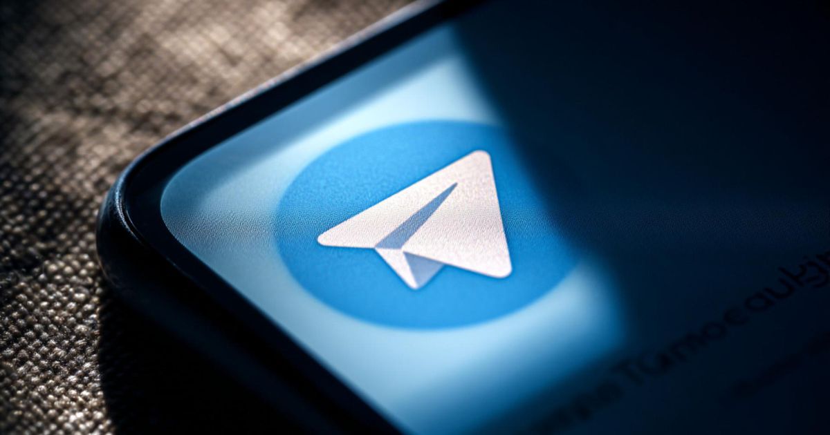 Нейропсихолог заявила о «популяционном стрессе» из‑за Telegram