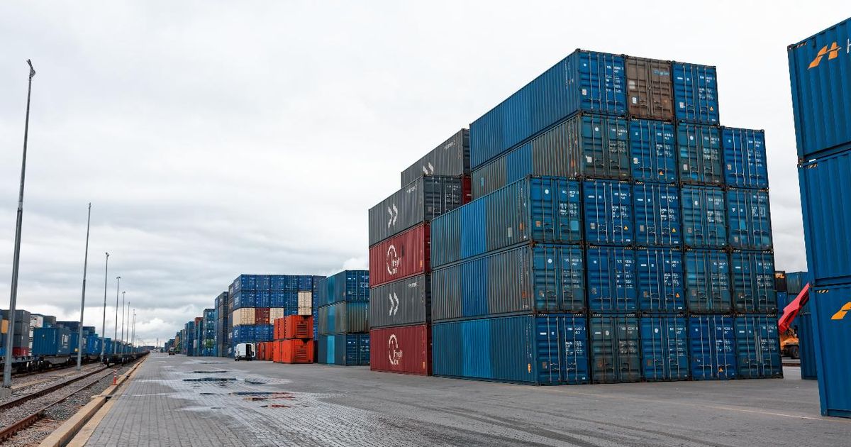 Около 1,3 млн тонн продукции экспортировали предприятия АПК Подмосковья в 2025 году