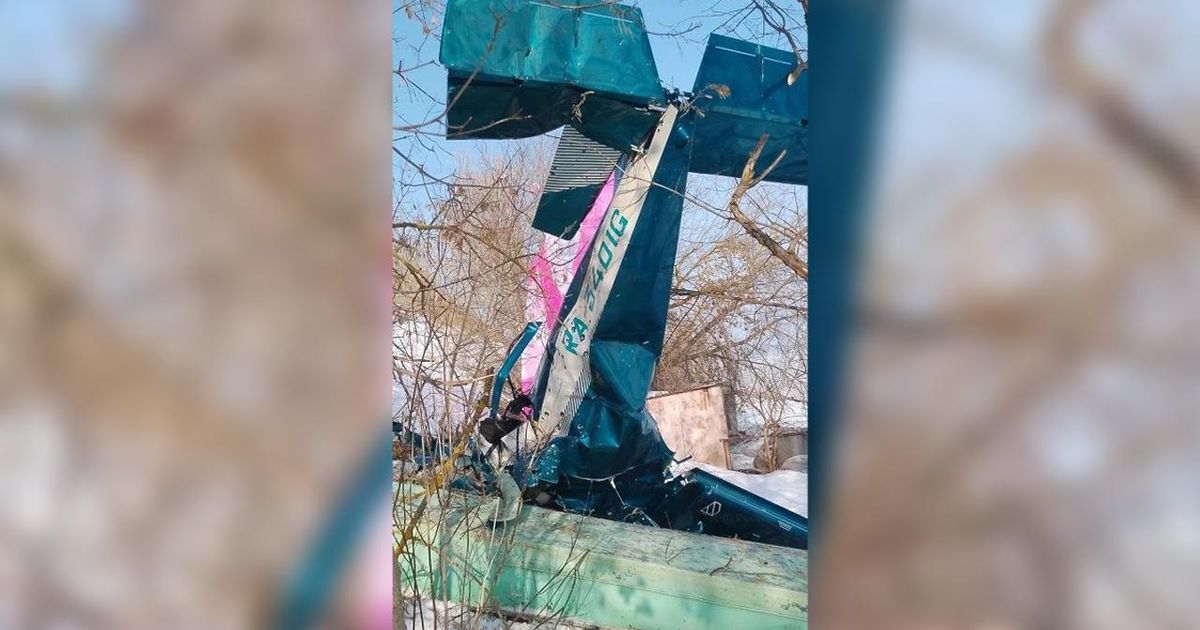 В Коломне разбился легкомоторный самолет с 39-летним инструктором и учеником: подробности