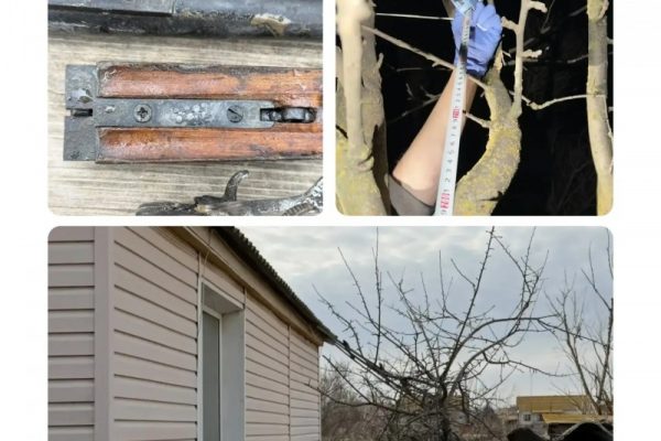 Астраханец застрелил соседа из ружья