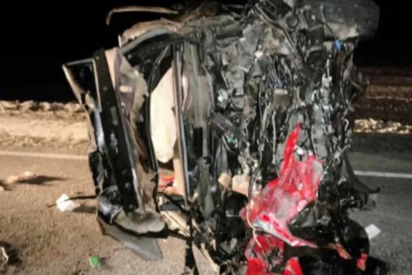 Три человека погибли в ДТП с лошадью на трассе в Туве