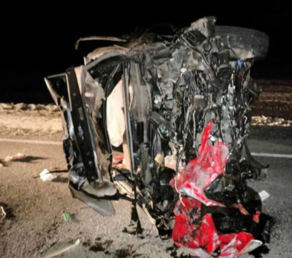 Три человека погибли в ДТП с лошадью на трассе в Туве