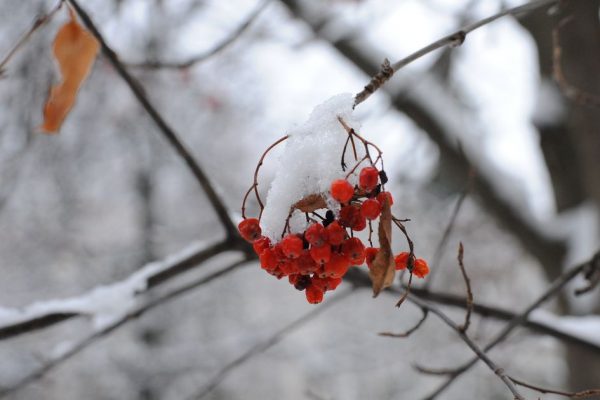Синоптик Ильин рассказал, когда москвичам ждать похолодания