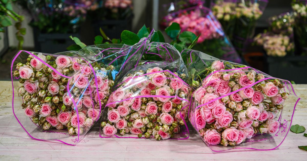 Флорист рассказала, как выбрать идеальный букет на 8 Марта