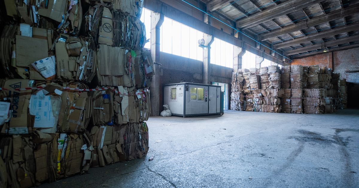 РЭО: в России создали технологию переработки бумажных отходов в сорбенты для ликвидации нефтеразливов