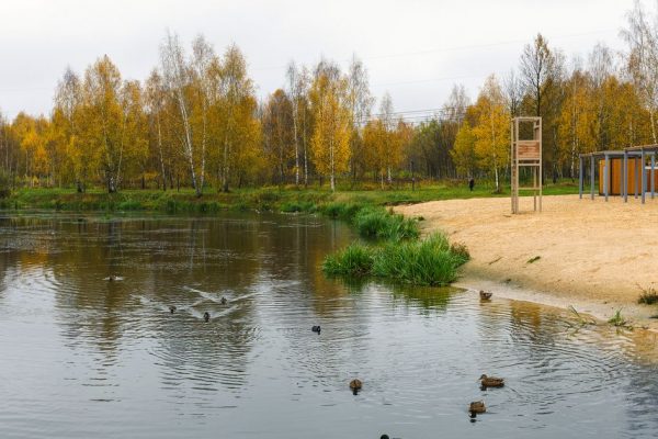 Три группы интересов: кто на самом деле решает судьбу Анапы — пляжный сезон под вопросом