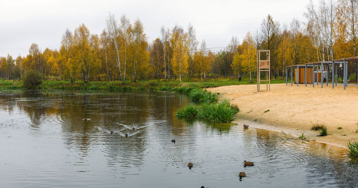 Три группы интересов: кто на самом деле решает судьбу Анапы — пляжный сезон под вопросом
