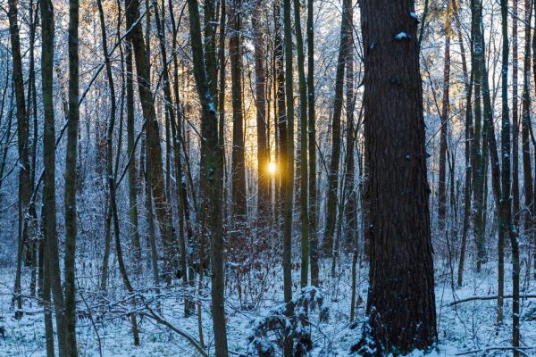 В Пермском крае россиянин выжил после девяти дней в холодном сугробе