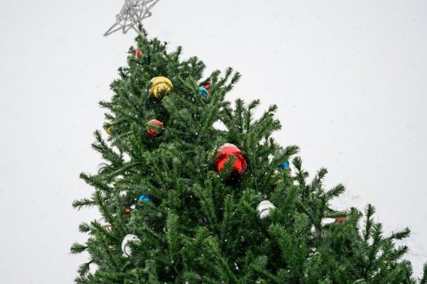 Вместо тюльпанов— хвоя: в Балашихе будут поздравлять женщин с 8 Марта у новогодней елки