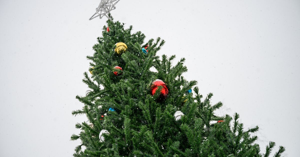 Вместо тюльпанов— хвоя: в Балашихе будут поздравлять женщин с 8 Марта у новогодней елки