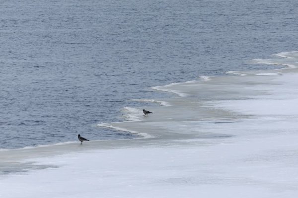 Океанический курьер: мужчина нашел бутылку с посланием, которое плыло к нему полтора года