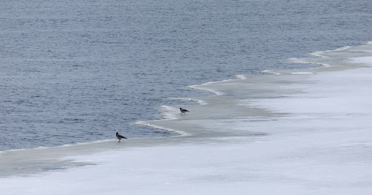 Океанический курьер: мужчина нашел бутылку с посланием, которое плыло к нему полтора года