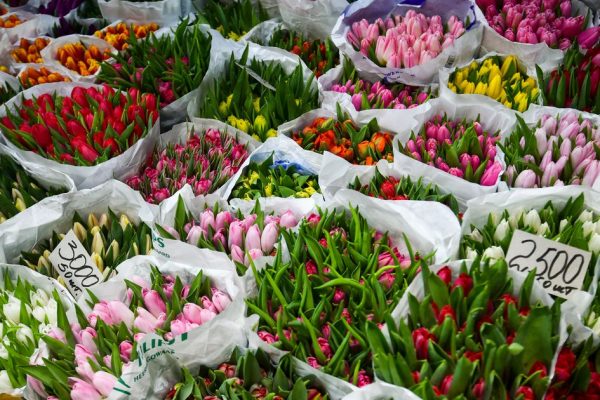 Желтые тюльпаны со скидкой: какие цветы и по какой цене продают перед Международным женским днем