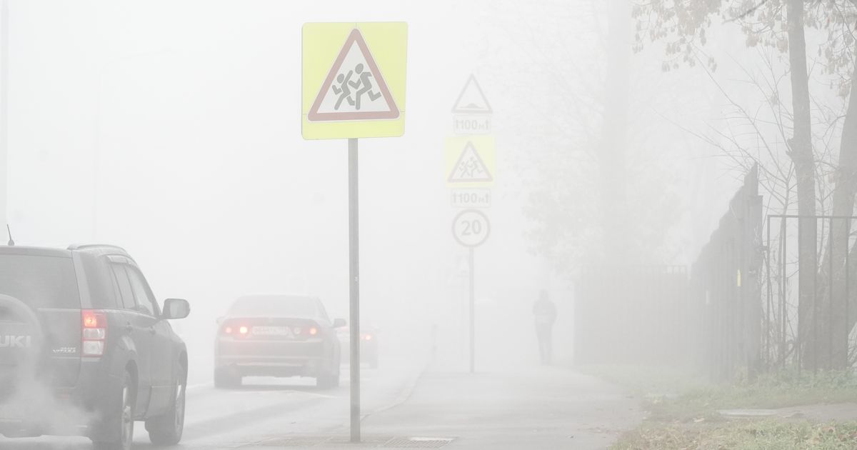 В МЧС предупредили о тумане с ухудшением видимости
