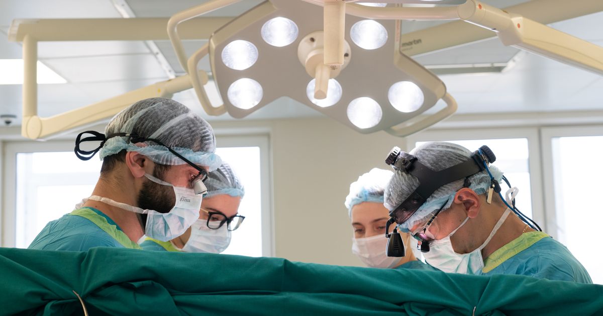 Врач МОНИКИ Попцов: после трансплантации сердца люди живут активной жизнью