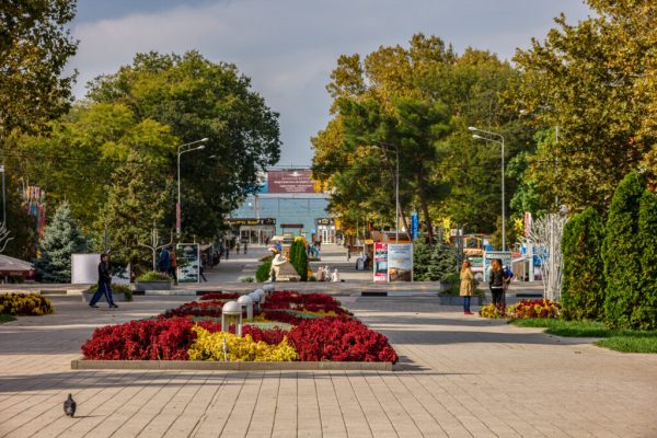 В Анапе отменили занятия в школах и детсадах из-за угроз атаки БПЛА