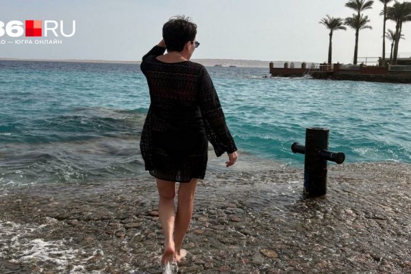 Море, клубника и огромные рыбы: зачем ехать в Египет в несезон и сколько это стоит