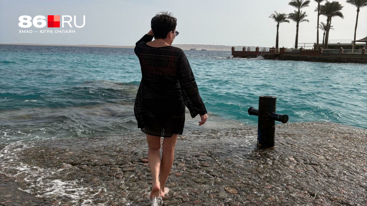 Море, клубника и огромные рыбы: зачем ехать в Египет в несезон и сколько это стоит