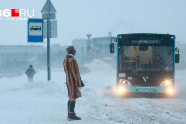 В Сургуте выделили больше 430 млн рублей на покупку новых автобусов из-за жалоб жителей на холод