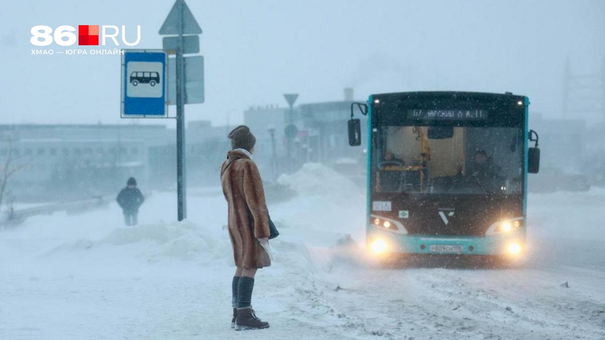 В Сургуте выделили больше 430 млн рублей на покупку новых автобусов из-за жалоб жителей на холод