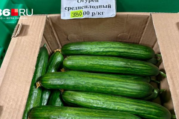 Огурцы наконец подешевели: сколько они теперь стоят