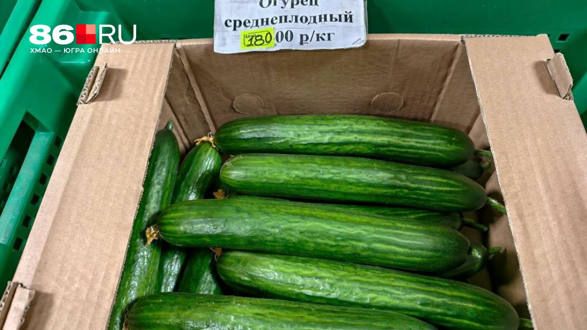 Огурцы наконец подешевели: сколько они теперь стоят