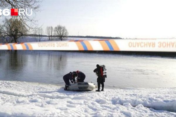«Один из них плыл и кричал». Как в Подмосковье целый город вышел на поиски пропавших на реке троих детей