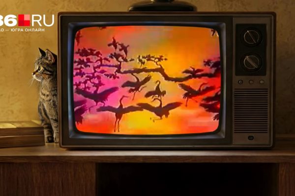 «Лежал под капельницей почти месяц»: как съемки «В мире животных» едва не стоили Николаю Дроздову жизни